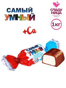 Конфеты Самый умный 1 кг пакет шоколадные корпусные с молочной начинкой (75 шт 13,5 гр)1 кор х 5 пак 54-27/ 13079