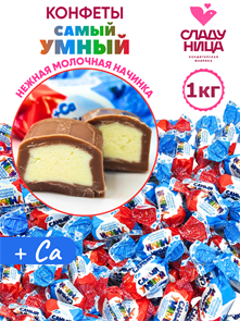 Конфеты Самый умный 1 кг пакет шоколадные корпусные с молочной начинкой (75 шт 13,5 гр)1 кор х 5 пак 54-27/ 13079