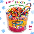 Карамель леденцовая Канди трость (Канди Клаб) (CAR154-1) 10 гр*6 банок*60 шт CAR154 - фото 17123