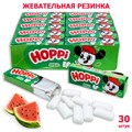 Жевательная резинка Hoppi подушки со вкусом Арбуза (9733) 13,2 гр*20 бл*30 шт 9733 - фото 18659