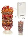 Карамель леденцовая на палочке DENDY CANDY TWIST Микс (С04-004-1) 30 гр*1 кор х 1 стойка*90 шт С04-004-1 - фото 18962