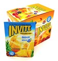 Растворимый напиток ИНВАЙТ Invite Ананас (Канди Клаб) (INV001) 9 гр*8 бл*24 шт INV001 - фото 9708
